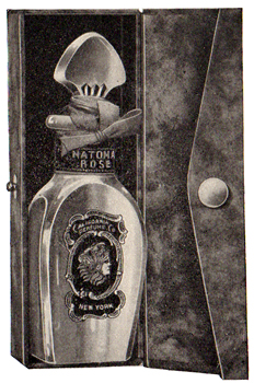 Gift Box N Illustration - 1914