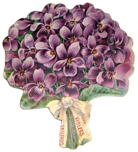 Goetting & Co, NY Perfume Sample Trade Card Front