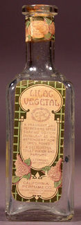 Lilac Vegetal - 1924