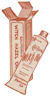 California Witch Hazel - 1898